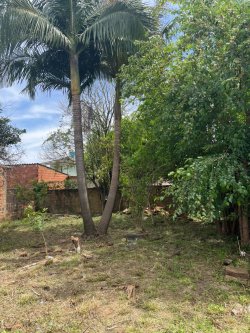 Terreno com 330m² no bairro Campina 