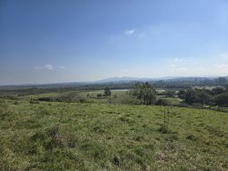 Sítio com 20.779,73m² no bairro Lomba Grande 