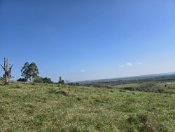 Sítio com 20.779,73m² no bairro Lomba Grande 