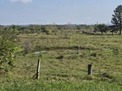 Sítio com 20.779,73m² no bairro Lomba Grande 