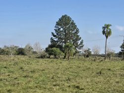 Sítio com 20.779,73m² no bairro Lomba Grande 