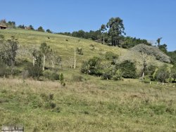 Sítio com 20.779,73m² no bairro Lomba Grande 