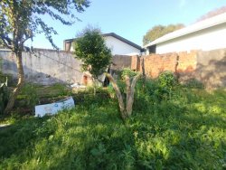 Terreno com 380,40m² no Bairro Liberdade 