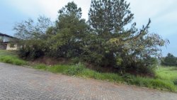 Terreno com 300m² no bairro Metzler 