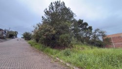 Terreno com 300m² no bairro Metzler 