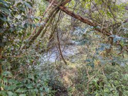 Área de terra próxima a área central da Lomba Grande 