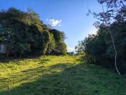 Área de terra próxima a área central da Lomba Grande 