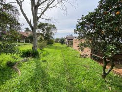 Terreno na área central de Lomba Grande 