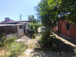 Casa com 02 dormitórios no bairro Guarani 