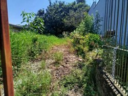 Terreno com construção com 257,82m² no bairro Guarani 