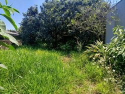 Terreno com construção com 257,82m² no bairro Guarani 