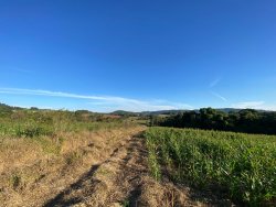 Sítio com 7,0 hectares no bairro Lomba Grande 