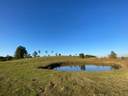 Sítio no São João do Deserto 