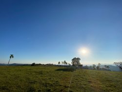 Sítio no São João do Deserto  