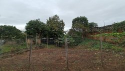 Terreno com 324m² no bairro Ouro Branco  