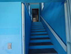 Prédio comercial e residencial no bairro Santo Afonso 