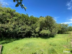 Sítio com 3,1 hectares no bairro Lomba Grande 