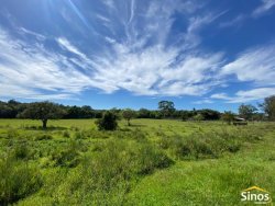 Sítio com 3,1 hectares no bairro Lomba Grande 