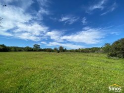 Sítio com 3,1 hectares no bairro Lomba Grande 