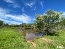 Sítio com 3,1 hectares no bairro Lomba Grande 