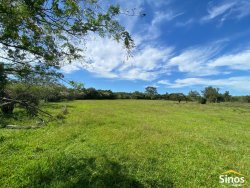 Sítio com 3,1 hectares no bairro Lomba Grande 