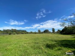 Sítio com 3,1 hectares no bairro Lomba Grande 