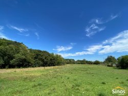 Sítio com 3,1 hectares no bairro Lomba Grande 