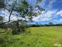 Sítio com 3,1 hectares no bairro Lomba Grande 