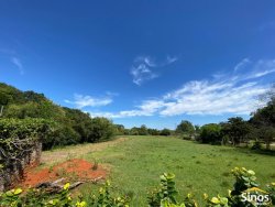 Sítio com 3,1 hectares no bairro Lomba Grande 