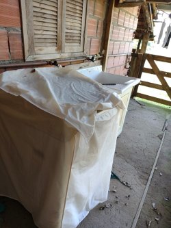Chácara com 1 hectare, totalmente aproveitável, próxima ao asfalto 