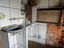 Chácara com 1 hectare, totalmente aproveitável, próxima ao asfalto 
