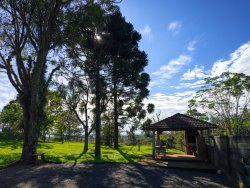 Chácara com 1 hectare, totalmente aproveitável, próxima ao asfalto 