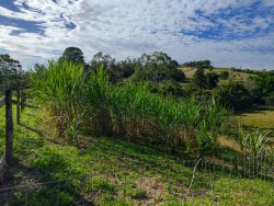 Chácara com 1 hectare, totalmente aproveitável, próxima ao asfalto 