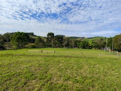Chácara com 1 hectare, totalmente aproveitável, próxima ao asfalto 