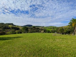 Chácara com 1 hectare, totalmente aproveitável, próxima ao asfalto 