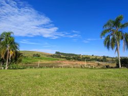 Chácara com 1 hectare, totalmente aproveitável, próxima ao asfalto 