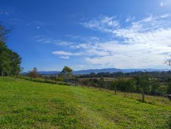 Chácara com 1 hectare, totalmente aproveitável, próxima ao asfalto 