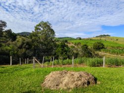 Chácara com 1 hectare, totalmente aproveitável, próxima ao asfalto 