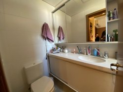 Apartamento para locação no Residencial Singular - Pátria Nova 
