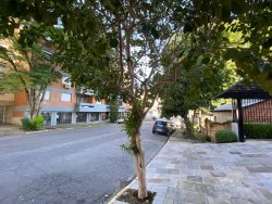 Apartamento para locação no Residencial Singular - Pátria Nova 