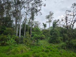Área de terra com 9.500m² no bairro Lomba Grande 