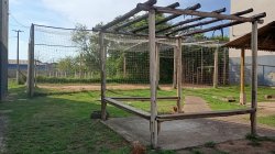 Apartamento com 02 dormitórios no Bairro Campina 