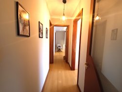 Apartamento com 02 dormitórios no Residencial Cyperus 