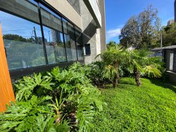 Sala comercial com 50m² para locação no bairro Jardim Mauá 
