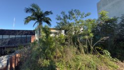 Terreno com 353m² no bairro Hamburgo Velho  