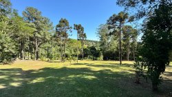 Sítio das araucárias com 1,0 hectares no bairro Lomba Grande 