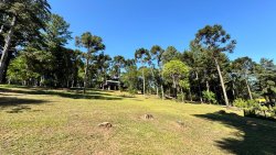 Sítio das araucárias com 1,0 hectares no bairro Lomba Grande 