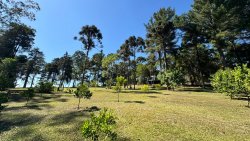 Sítio das araucárias com 1,0 hectares no bairro Lomba Grande 