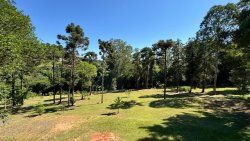 Sítio das araucárias com 1,0 hectares no bairro Lomba Grande 