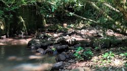 Sítio com 40.000,00m² no bairro Arroio Paixão 